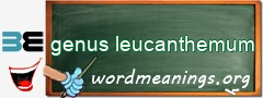 WordMeaning blackboard for genus leucanthemum